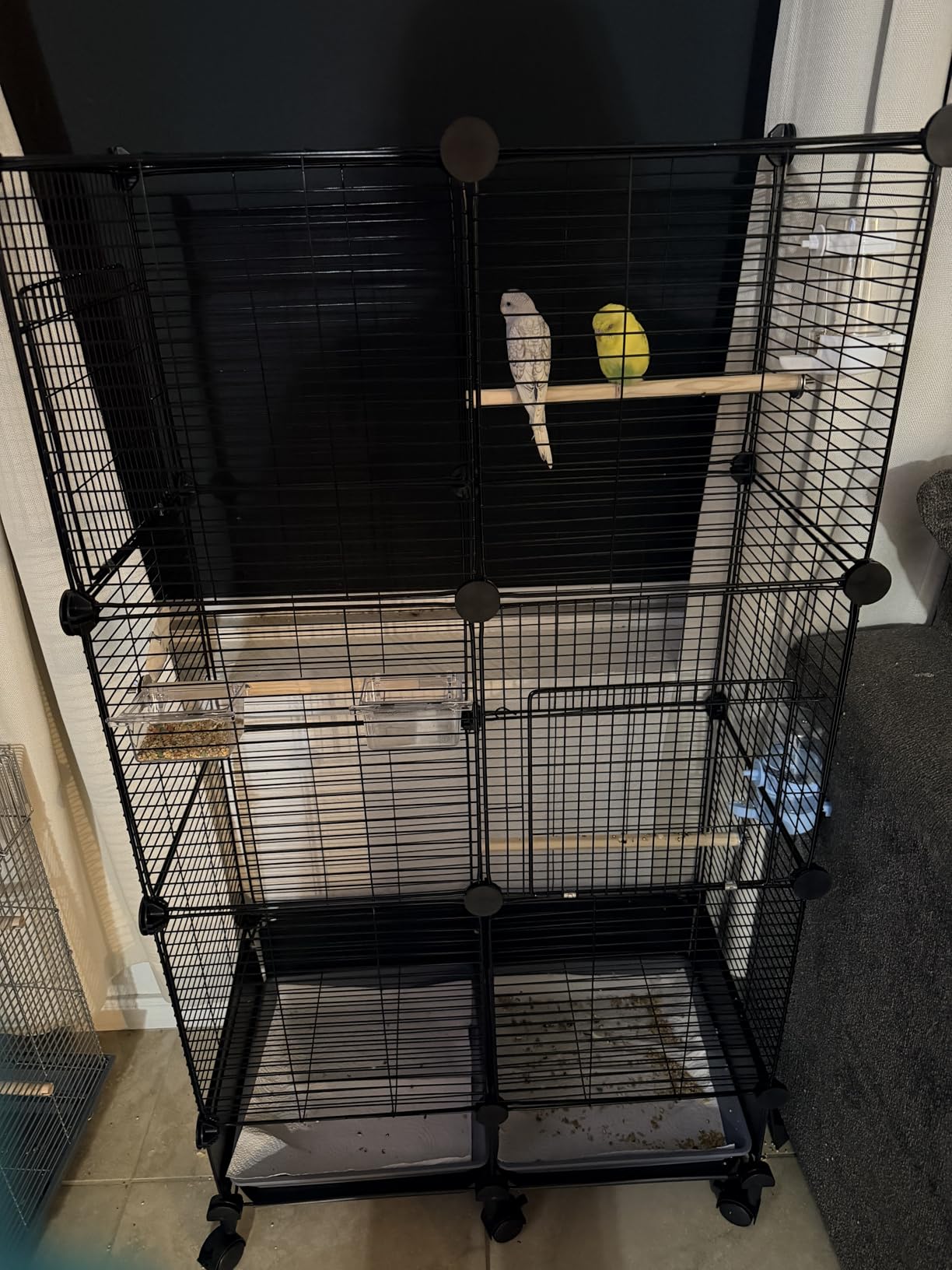 VISCOO Upgraded Encrypted 46-Inch Bird Cage, with Wooden Perches, Metal Parakeet Cage with Slide-Out Tray, Water Bottle&Feeder, Bird Cages for Parrot,Parakeets,Cockatiel,Lovebird,Small Mid-Sized Birds customer photo 1