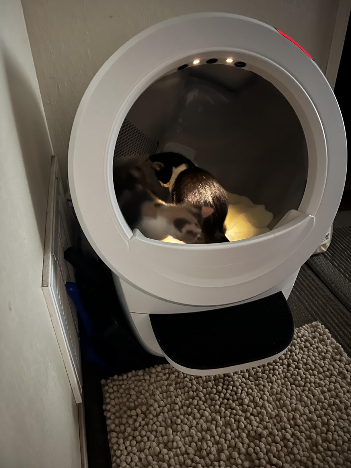 Litter-Robot 4 Supply Bundle by Whisker, Black - Automatic, Self-Cleaning Cat Litter Box, Includes Litter-Robot 4, 3 OdorTrap Refills, 10 Liners, 30 Cleaner Wipes, & 2 Carbon Filters customer photo 2
