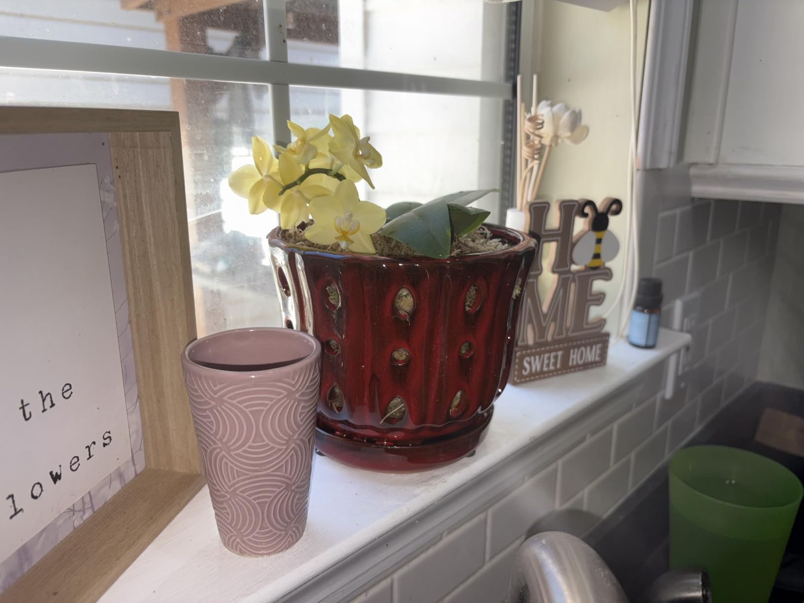 Ceramic Orchid Pot with Attached Saucer and Drainage Hole 6'' Orchid Planter (Cream) customer photo 2