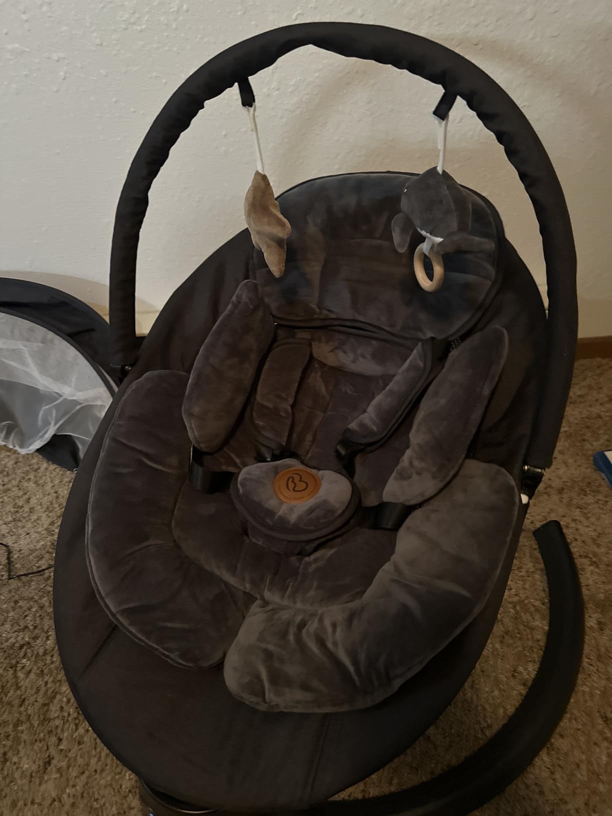 FasonBaby Electric Baby Swing with 10 Preset Melodies, 5 Speeds, Remote Control and Bluetooth - Portable Infant Swing (Beige) customer photo 2
