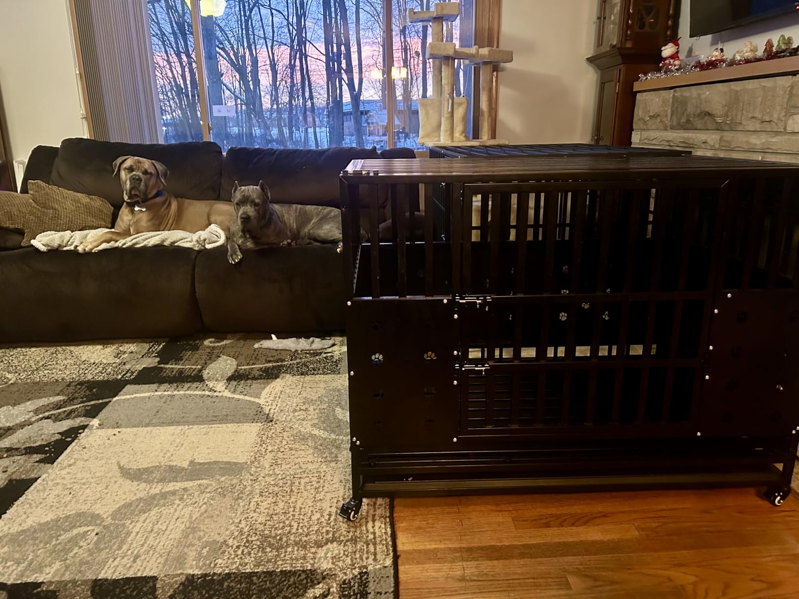 48'' Heavy Duty Dog Crate for Large Dogs, - Upgraded Chew-Proof Panels, Comfort-Widened Floor Panel, Dog Kennel Indoor, Adjustable Internal Height, Easy-Access Wide Door, 4 Lockable Wheels customer photo 1