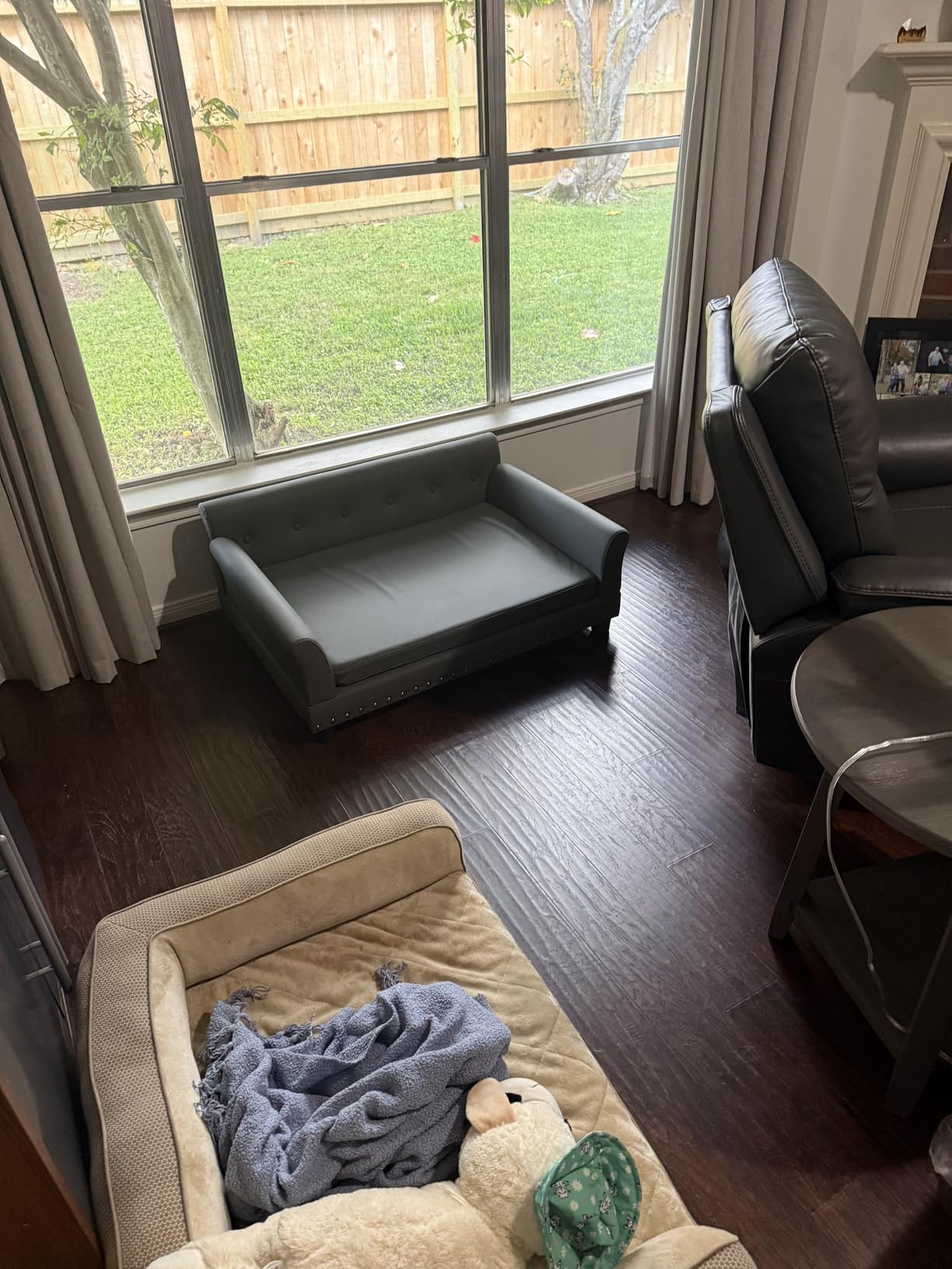 BingoPaw Large Leather Dog Sofa: Jumbo Pet Couch Made by Scratching Resistant Microfiber Leather - Indoor Elevated Dogs Chaise Bed for Doggy up to 120lbs customer photo 2