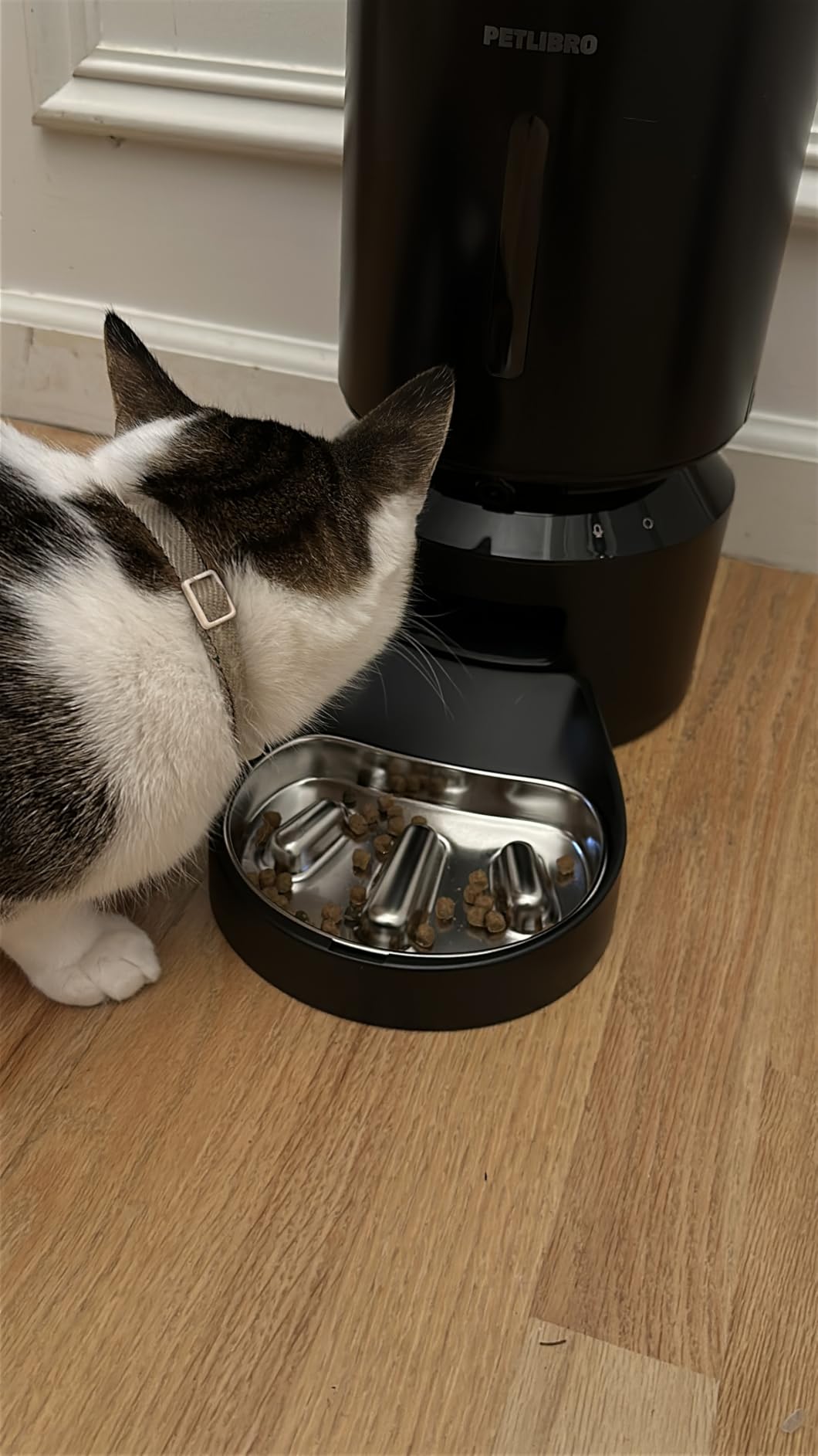 PETLIBRO Automatic Dog Feeder with Camera, Auto Cat Food Dispenser Slow Feeders Dogs Bowl, 1080P HD Video with Night Vision, 5G WiFi with 2-Way Audio, Stainless Steel Slow Food Tray customer photo 1