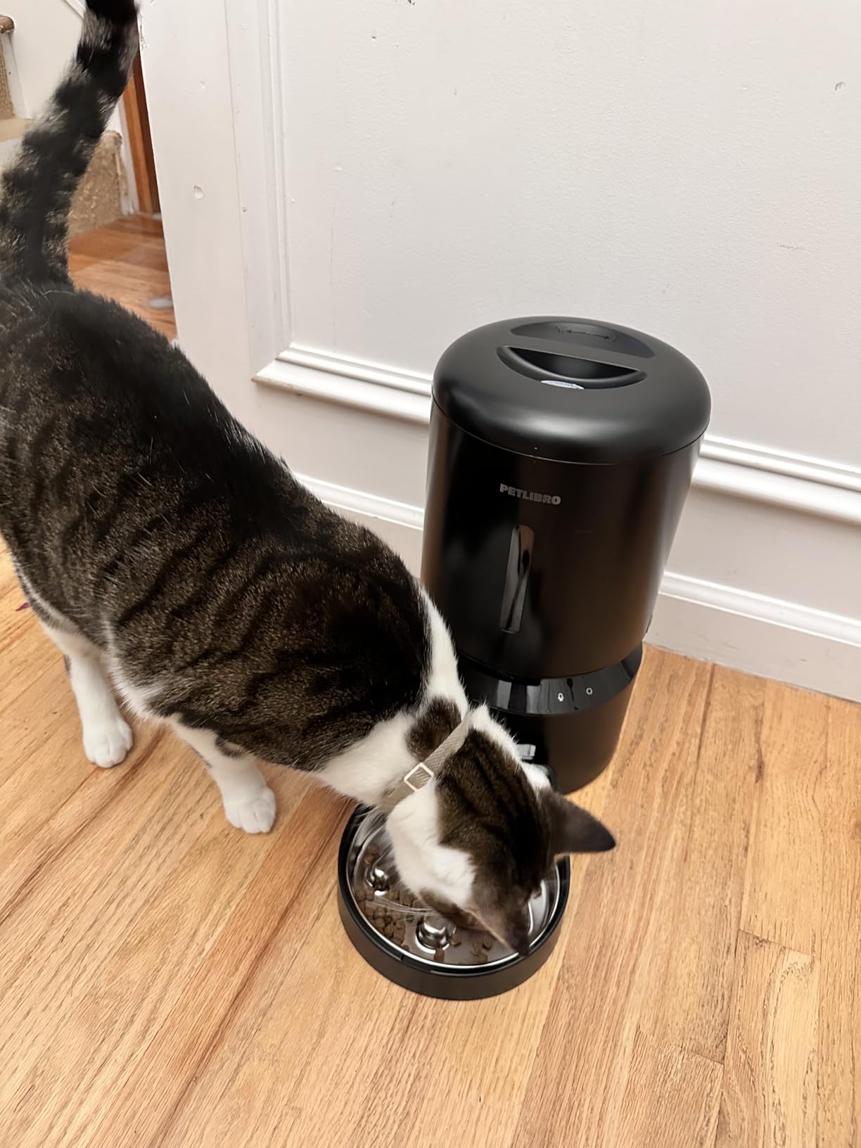 PETLIBRO Automatic Dog Feeder with Camera, Auto Cat Food Dispenser Slow Feeders Dogs Bowl, 1080P HD Video with Night Vision, 5G WiFi with 2-Way Audio, Stainless Steel Slow Food Tray customer photo 2