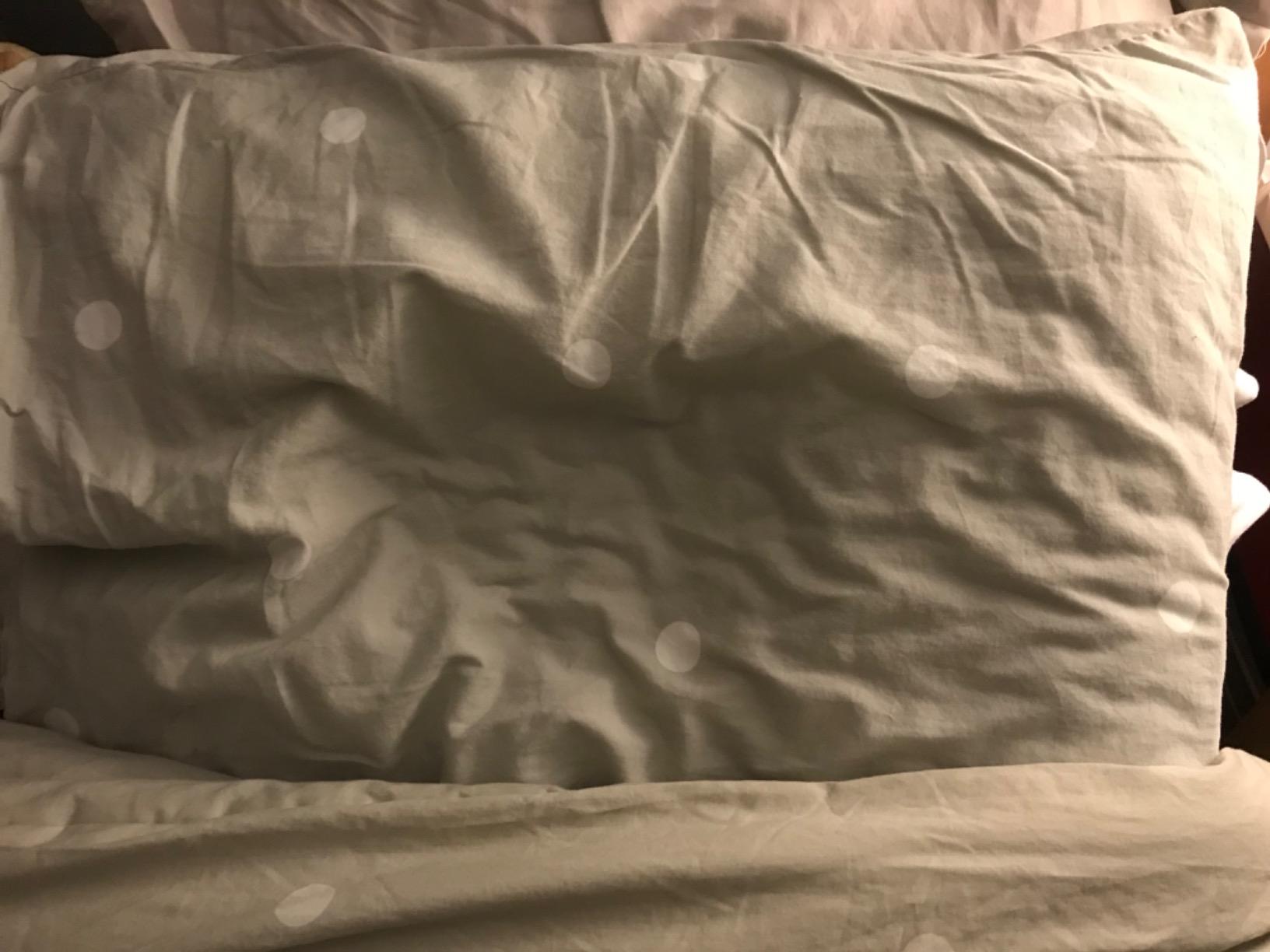 TEMPUR-Pedic TEMPUR-Cloud Pillow, Standard-2-Pack, Standard, White 2 Count customer photo 1