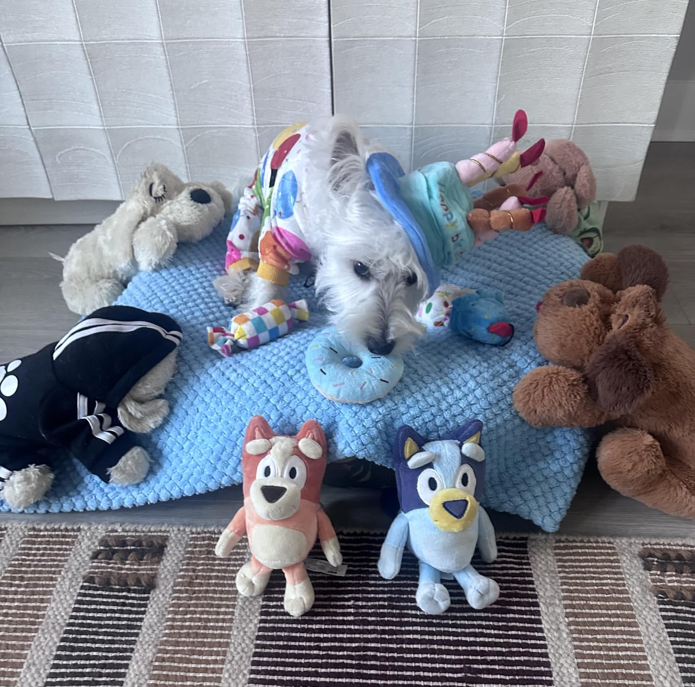 lilfrd Squeaky Dog Toys, Duck Plush Toy with Crinkle & Squeaker - Puppy Toys to Keep Them Busy, Interactive Chew for Small Medium Dogs customer photo 2