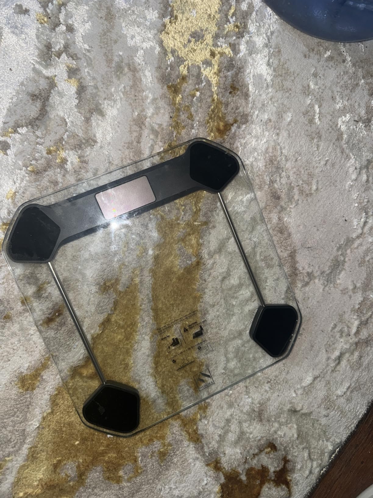 FITINDEX Smart Scale for Body Weight, Body Pod Scale [2026 Upgraded], 8-Electrode Body Composition Scale with BMI, Body Fat, Muscle Mass, Digital Bathroom Scale with Larger Platform, Bluetooth customer photo 2
