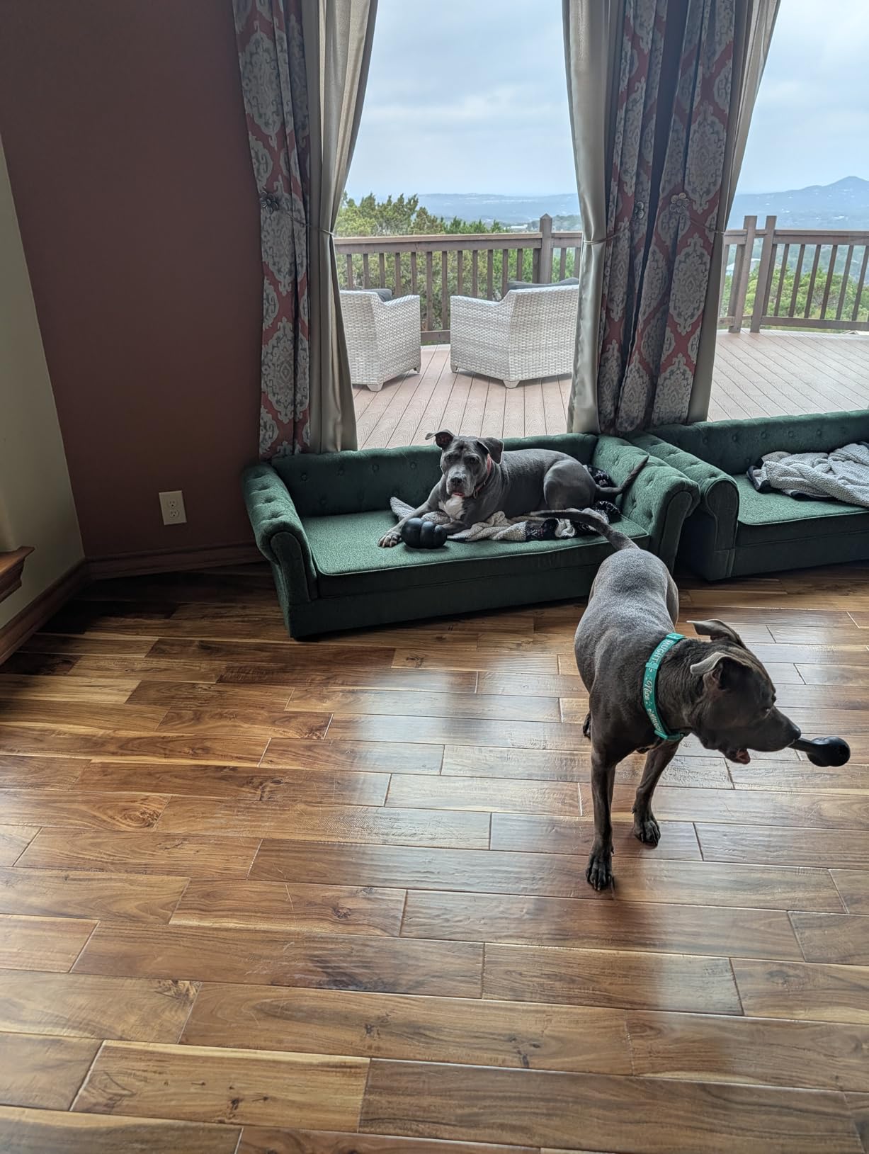 Dog Sofa Couch for Medium to Large Dogs, 55