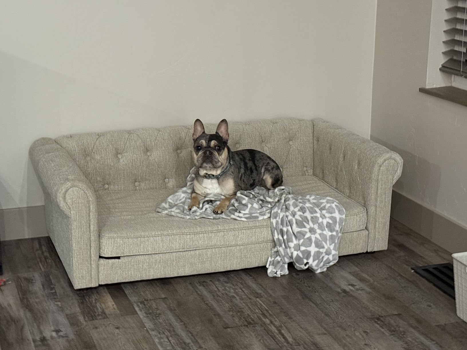 Dog Sofa Couch for Medium to Large Dogs, 55