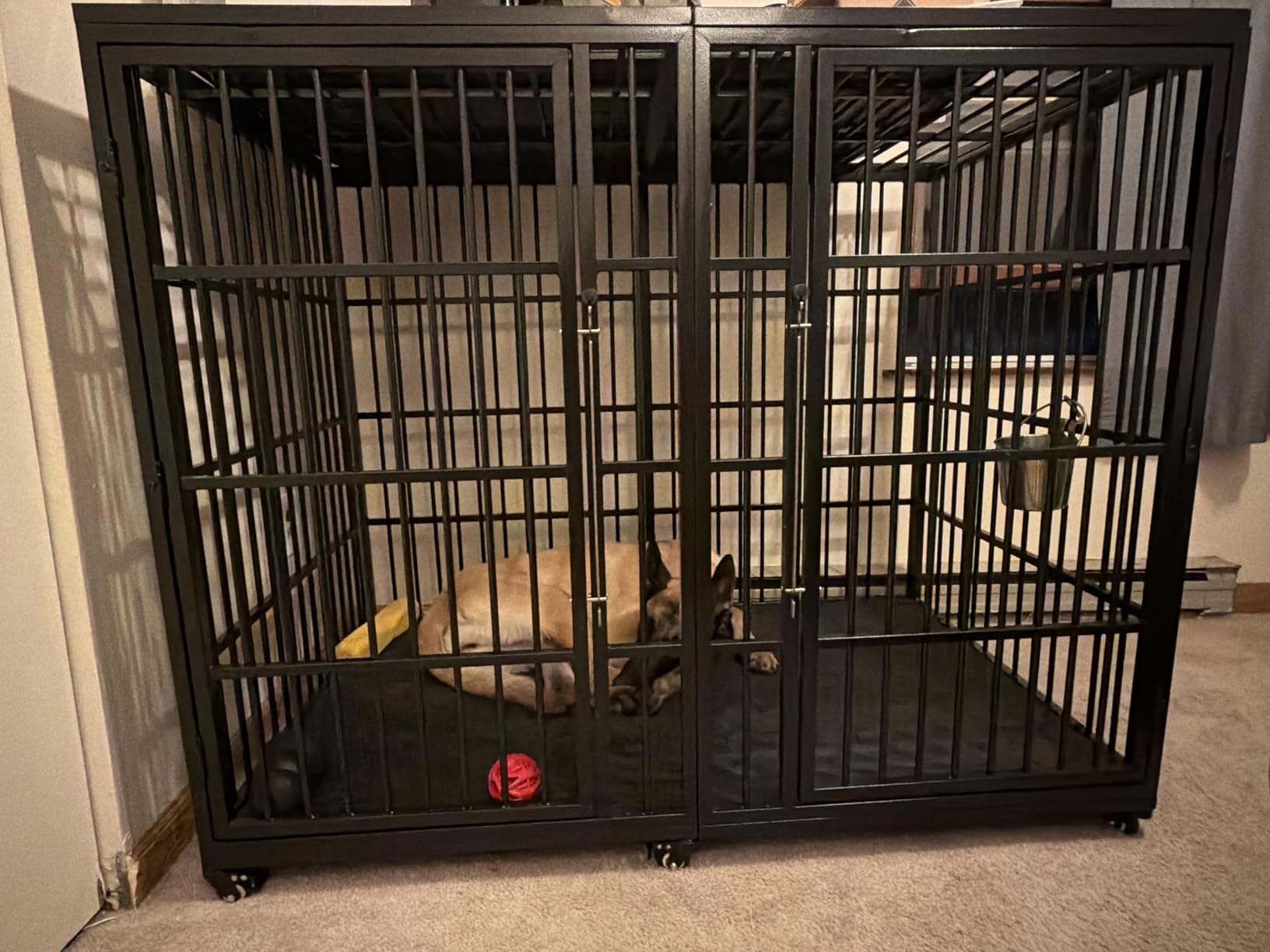 VERIFURTY 48 Inch Heavy Duty Dog Crate for Large Dogs with Self-Locking Latch, Escape-Proof Steel Kennel Indoor, XL Large Double Door Metal Pet Cage with Wheels customer photo 1