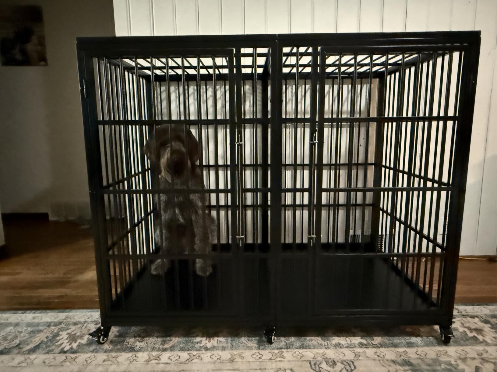 VERIFURTY 48 Inch Heavy Duty Dog Crate for Large Dogs with Self-Locking Latch, Escape-Proof Steel Kennel Indoor, XL Large Double Door Metal Pet Cage with Wheels customer photo 2