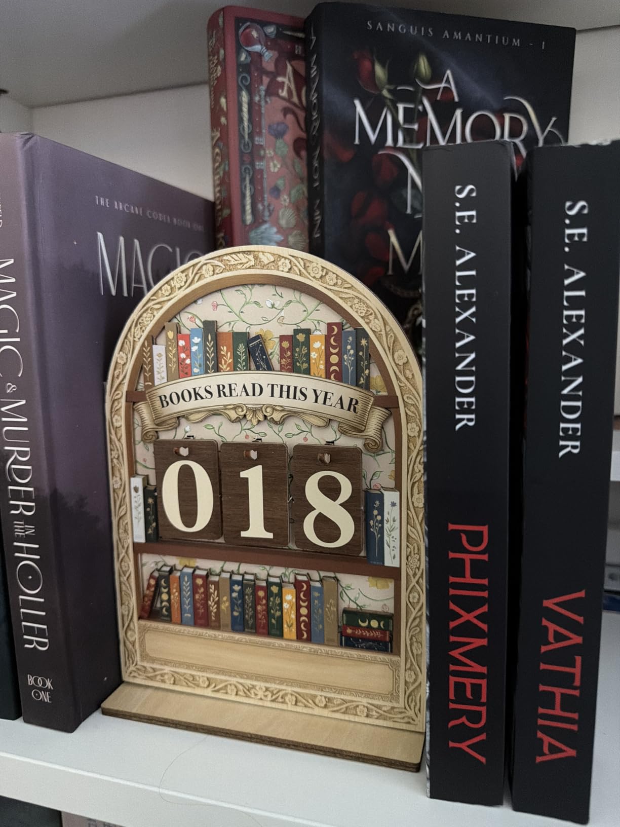 Books Read This Year Counter Valentines Day Gifts For Women Readers, Personalized Book Counter Tracker Bookshelf Decor, Bookish Gifts Accessories For Book Lovers, Bookworm, Bookclub Stocking Stuffers customer photo 2