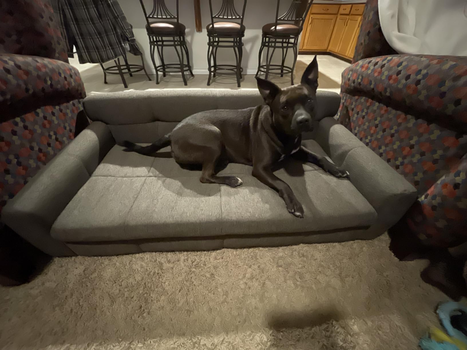 Dog Couch Bed, 38