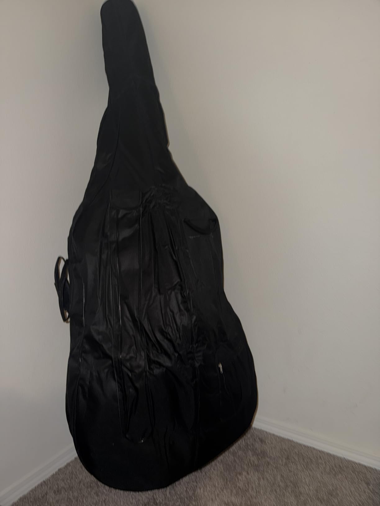 Vetimobato 3/4 Upright Double Bass Gig Bag - 600D Nylon Raincoat String Instrument Bag with Thick Padding, Shoulder Strap,Storage Pockets - Protective Cover for Upright Double Bass(3/4 Size) customer photo 1
