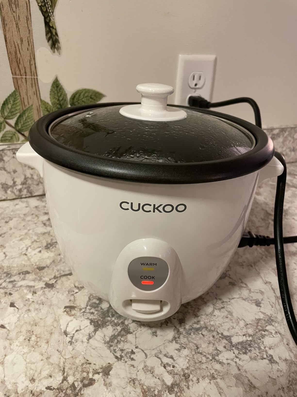 CUCKOO One Touch Rice Cooker 3-Cup (Uncooked) / 6-Cup (Cooked), Mini Rice Cooker & Warmer with Steamer Tray, Versatile Grain Cooker, Soup Maker, Auto Keep Warm, White (CR-0301C) customer photo 2