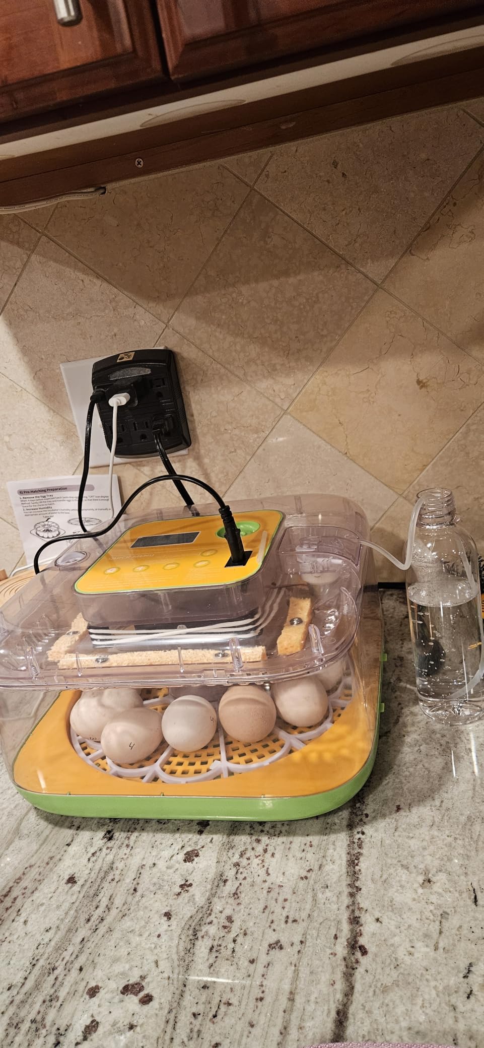 Incubator for Hatching Eggs, Temperature and Humidity Control, Automatic and Adjustable Egg Turning & Incubation Day, Built-in Egg Candler, 12 Egg Incubator for Hatching Chicken, Duck, Turkey, Bird customer photo 1
