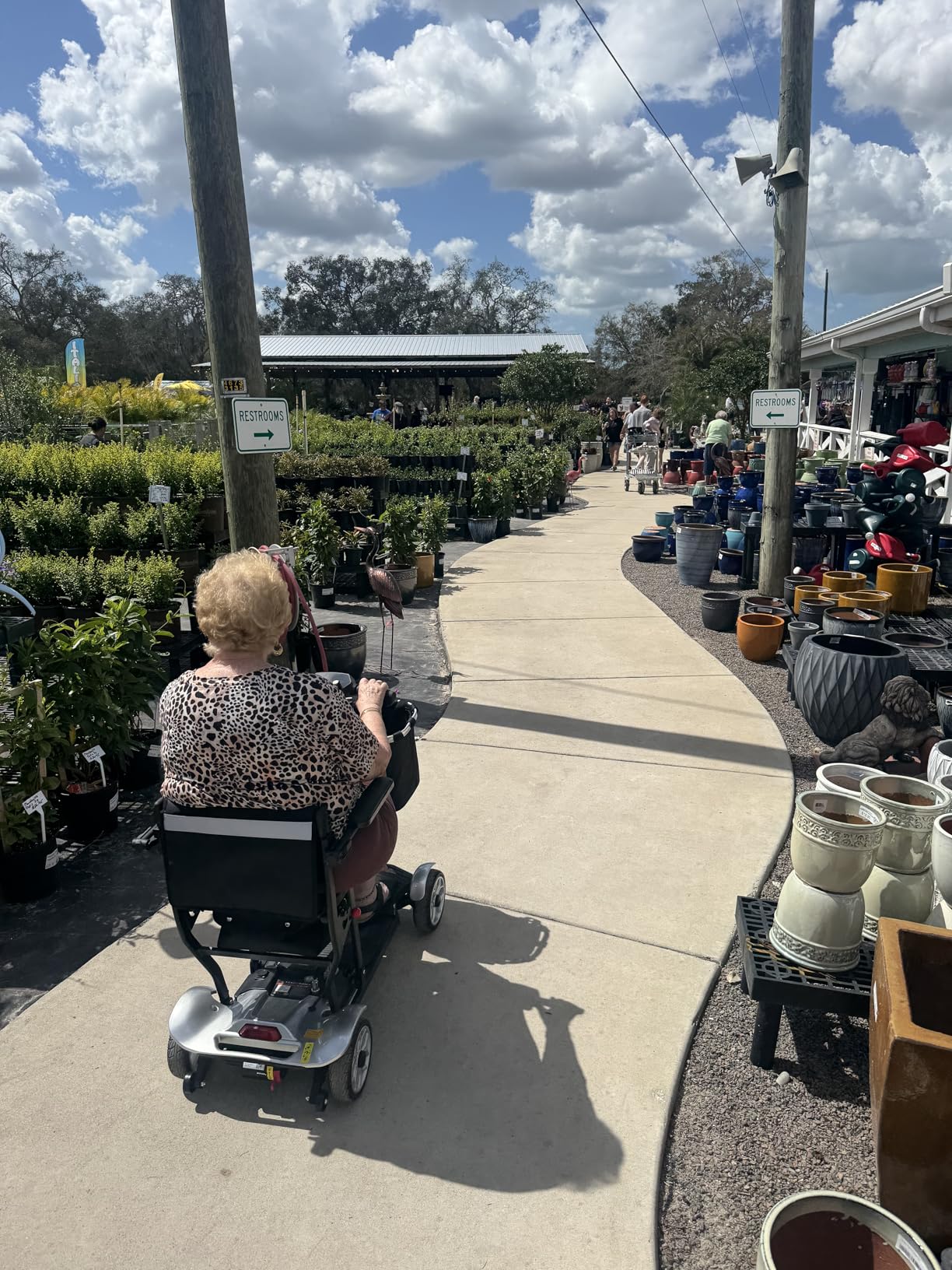 Mobility Scooter for Adults, 4 Wheels Mobility Scooter with LCD Display, 350LBS Capacity & Lithium Battery, Airline Approved, 38LBS Motorized Mobility Scooter for Seniors (Silver, 30 MI-211) customer photo 2
