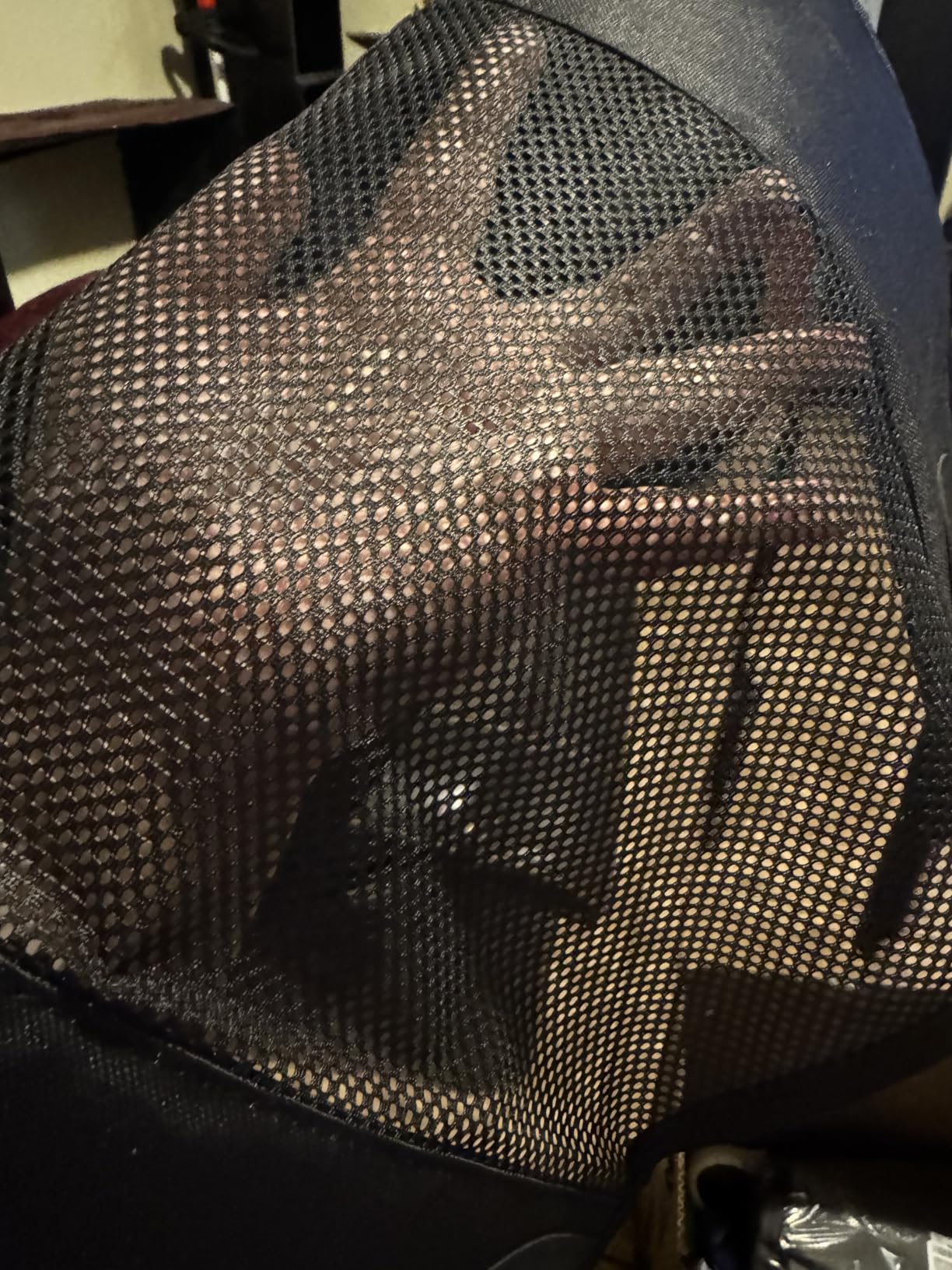 Dog Car Backseat Barrier - Padded Durable Nylon Net Pet Barrier with Mesh Windows | Vehicle Travel Dog Fence, Universal Fit for All Cars, SUVs & Trucks, Easy to Install and Adjust customer photo 2