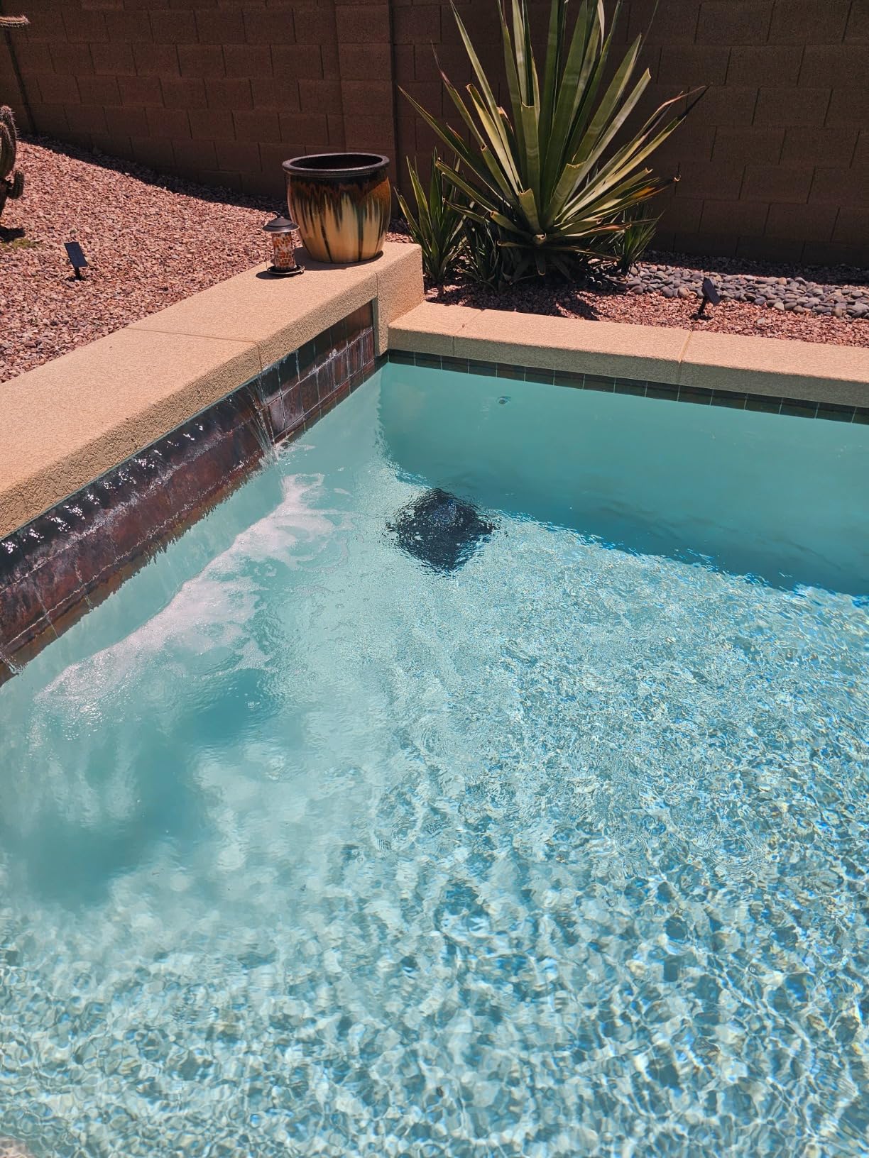 (2026 Upgrade) Beatbot AquaSense Cordless Robotic Pool Vacuum Cleaner - Intelligent Path Optimization, Cleans Floor, Walls, and Waterline - Suitable for Above & In-Ground Pools up to 2,260 sq.ft. customer photo 1