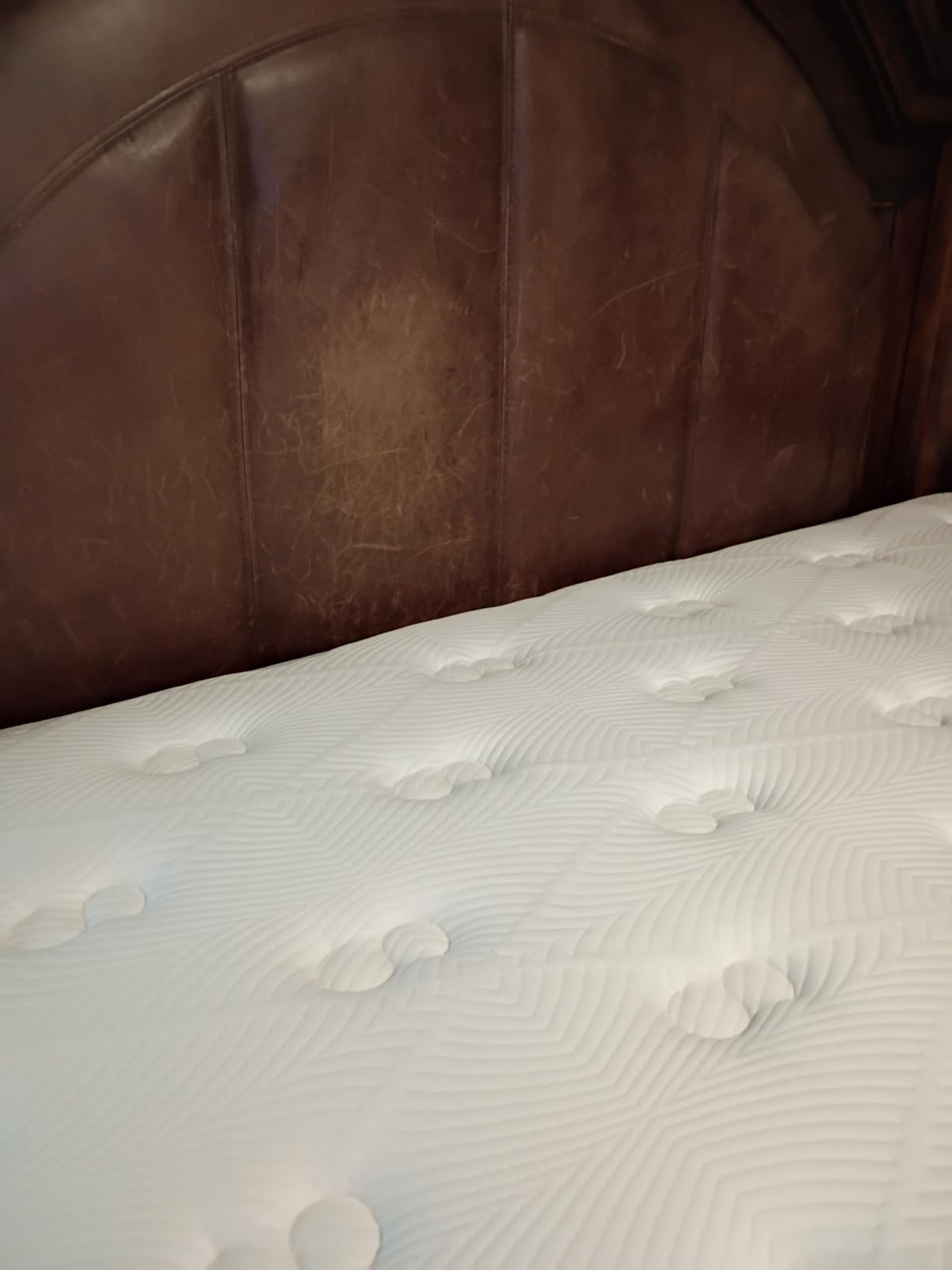 BedStory Medium Firm Queen Mattress 14 Inch, Hybrid Queen Size Mattress in a Box, Back Pain Relief, Luxury Pocket Spring Mattress, Fiberglass-Free, 365-Night-Trial, 10 Year Warranty customer photo 1