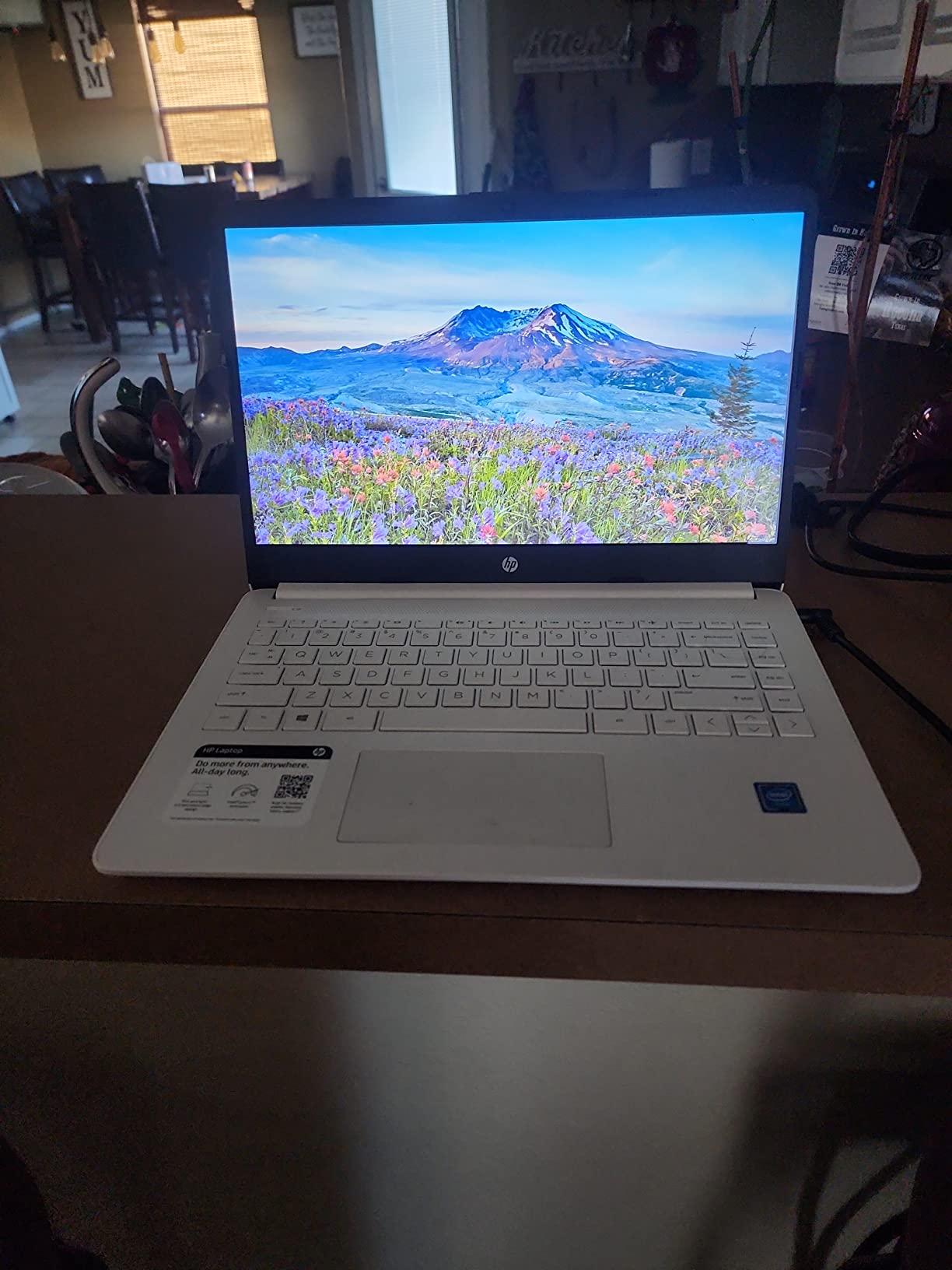 HP 17.3