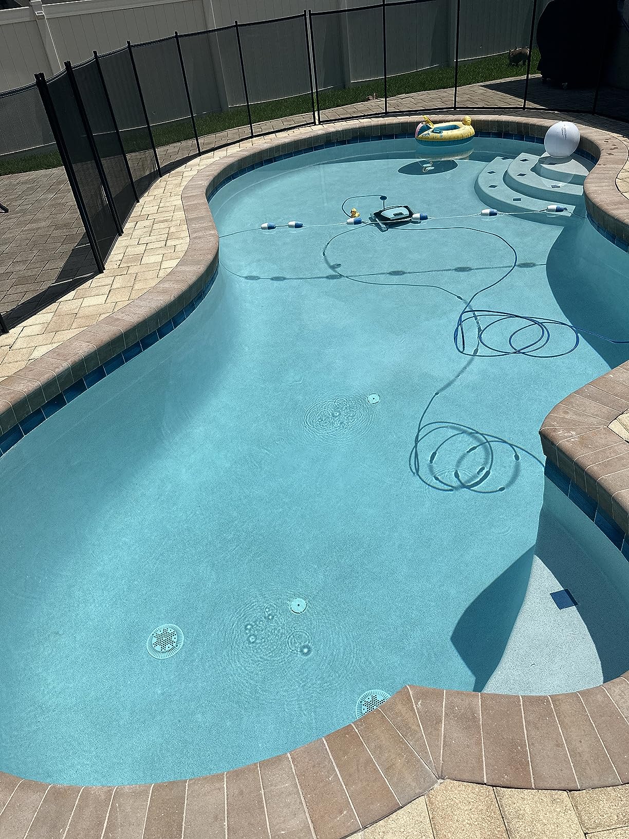 Dolphin E10 Automatic Robotic Pool Vacuum Cleaner, Active Scrubber Brush, Top Load Filters Access customer photo 1