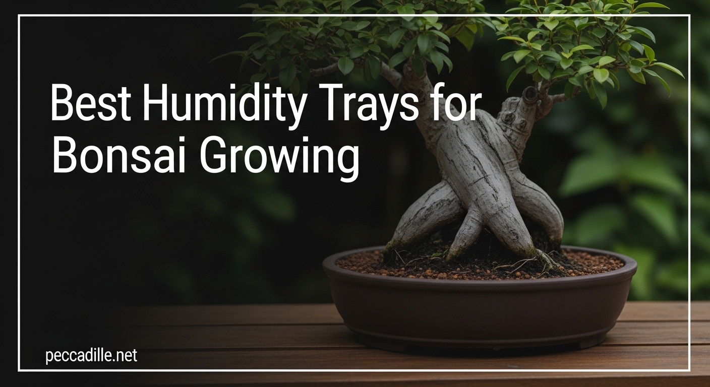 Best Humidity Trays for Bonsai Growing