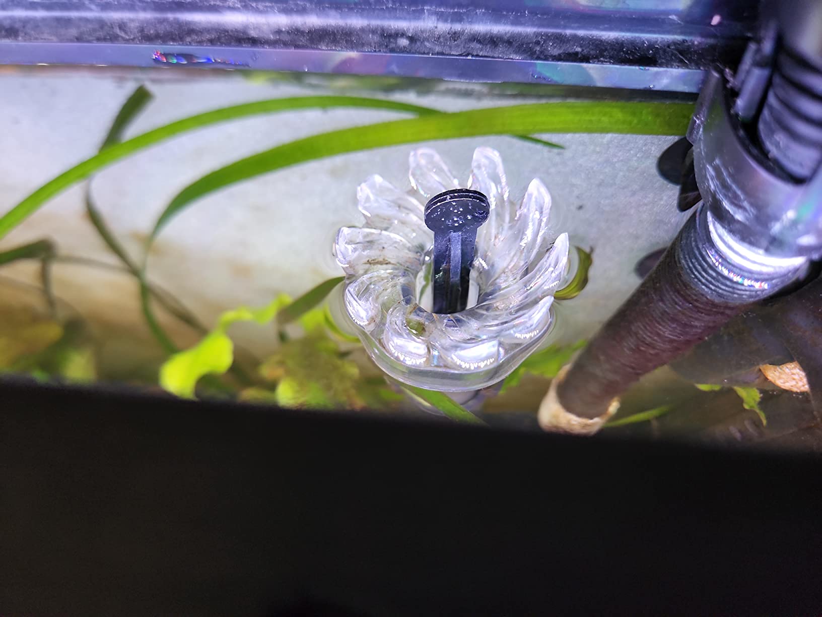 Fluval Surface Aquarium Skimmer for Series 05 06 and 07 Canister Filters customer photo 1