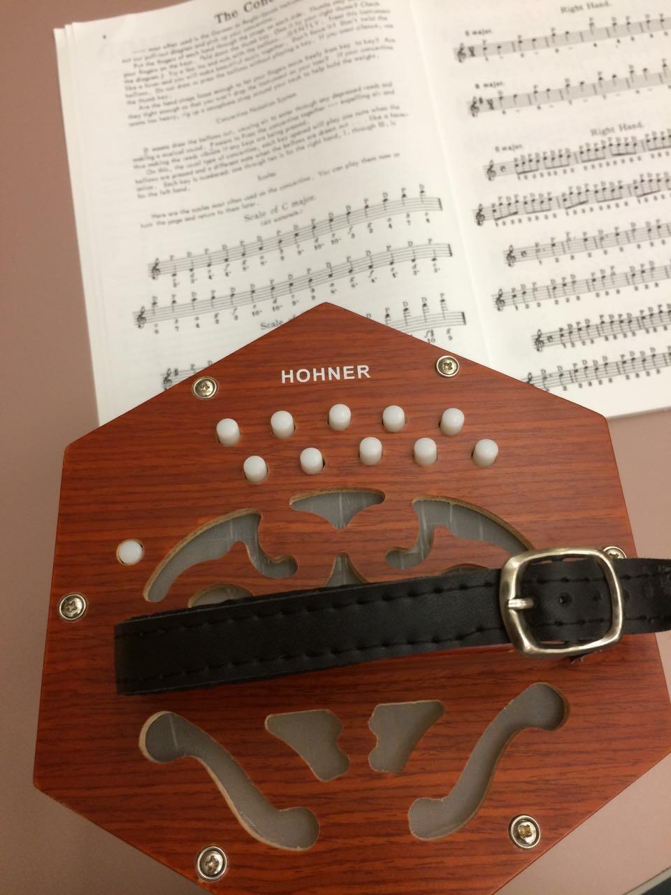 Hohner Accordions Hohner, 49 D40 Concertina, with Gig Bag 20 Key customer photo 1