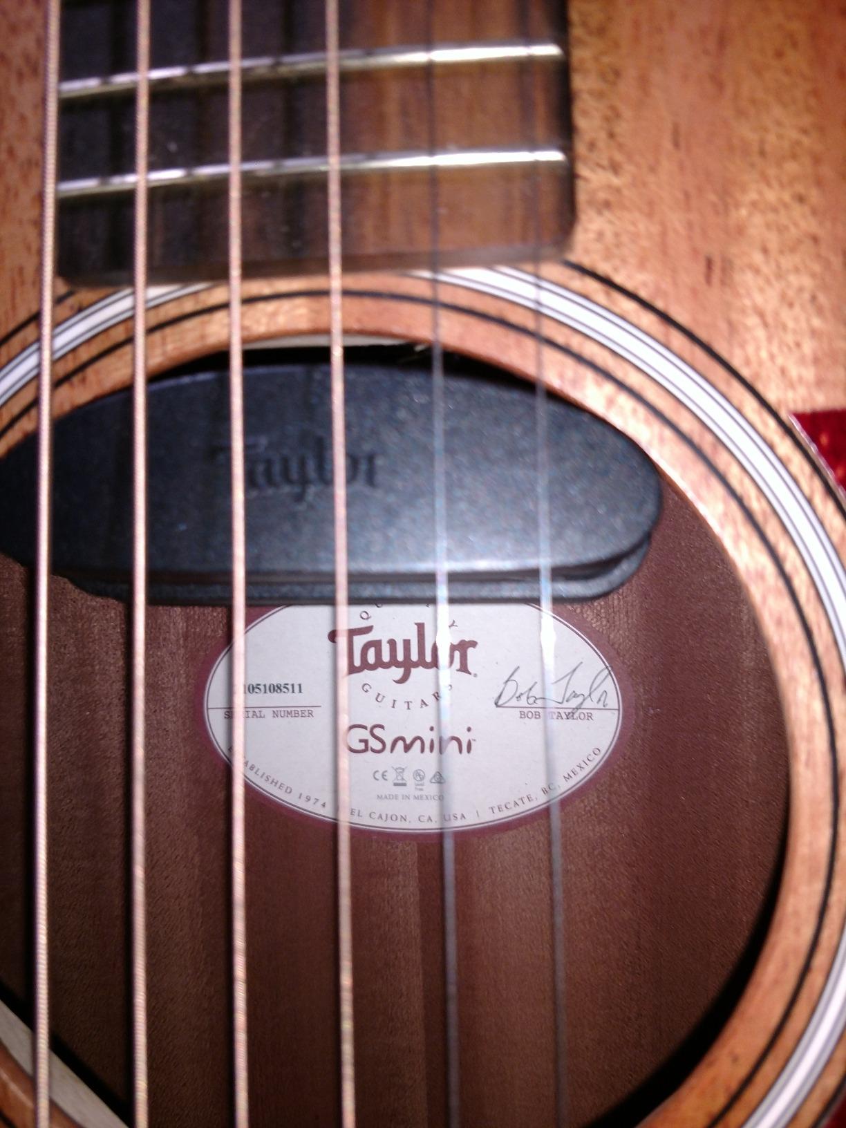 Taylor ES Go Pickup for GS Mini customer photo 1