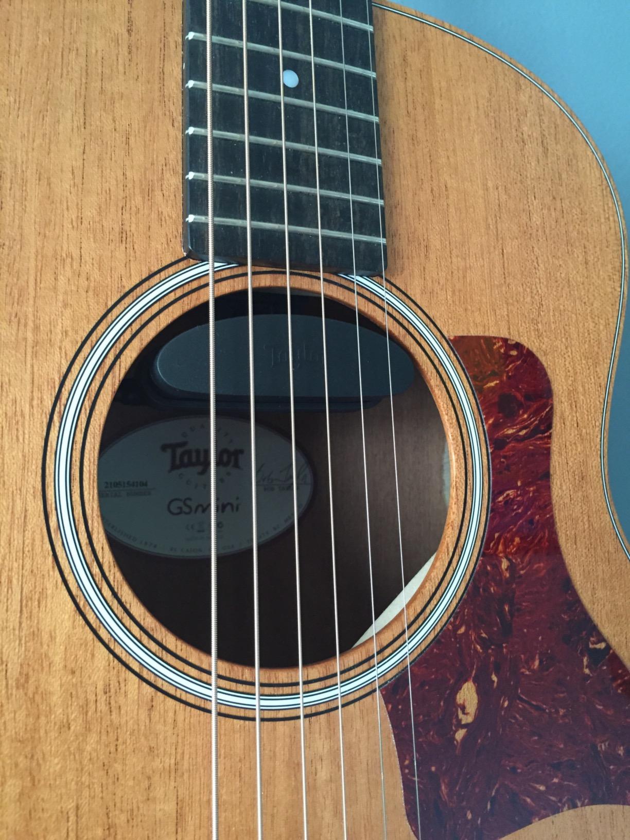 Taylor ES Go Pickup for GS Mini customer photo 2