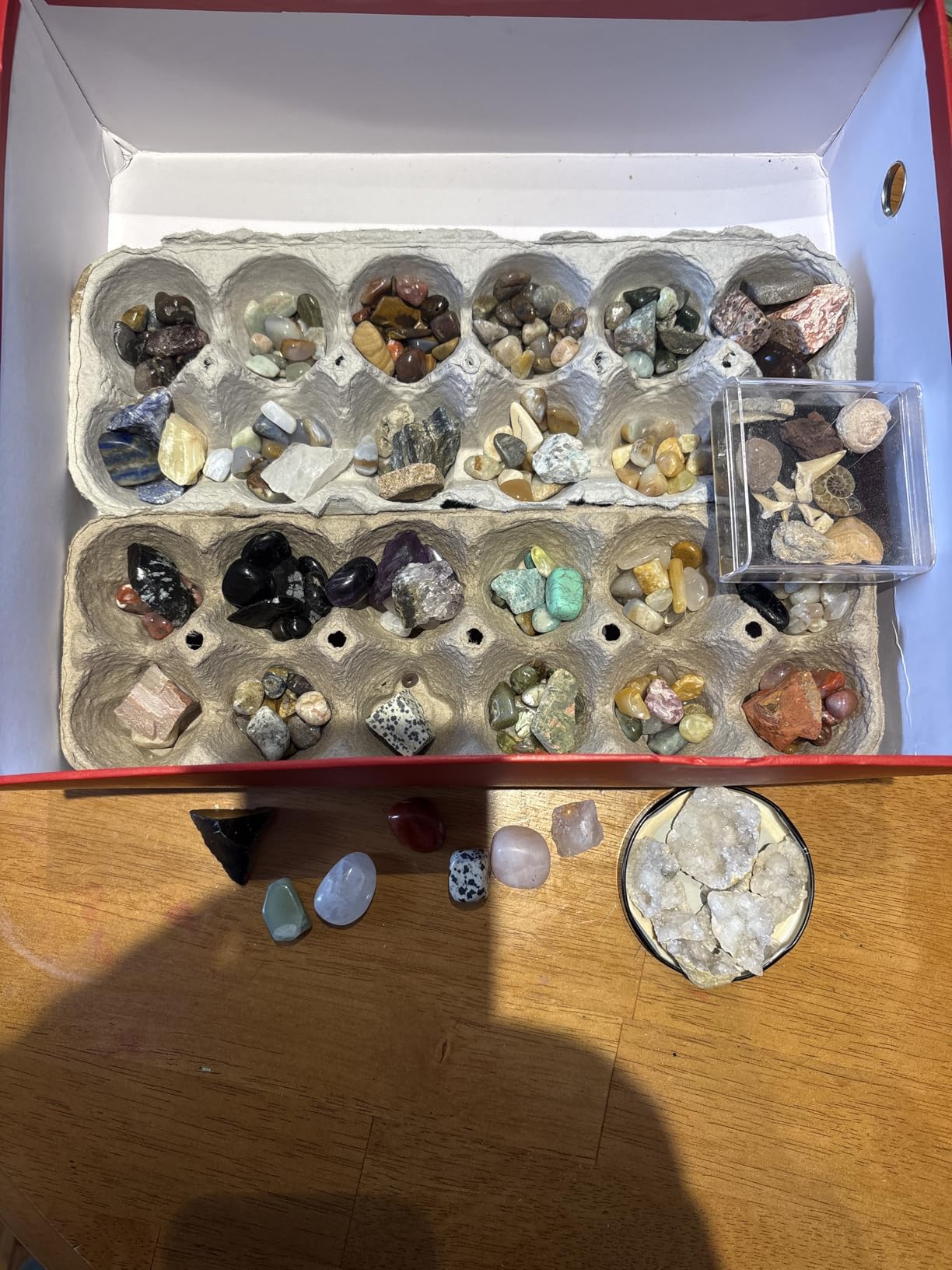DANCING BEAR Rock, Mineral & Geodes Treasure Hunt Activity Kit (250 Pc Set) Real Shark Teeth Fossils, ID Sheet & Rock Book, STEM customer photo 1