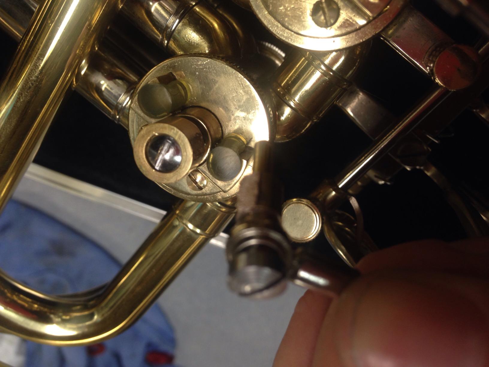 Professional Gold Double French Horn customer photo 3