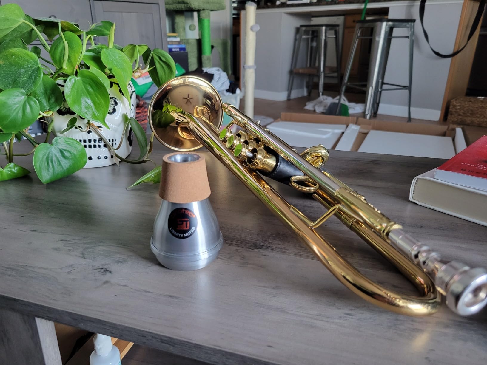 Protec Trumpet Compact Practice Liberty Mute, Aluminum, Model ML203 customer photo 1