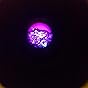 Celestron 44128 CL-CM800 Compound Microscope, 40x-800x Magnification, White customer photo 2