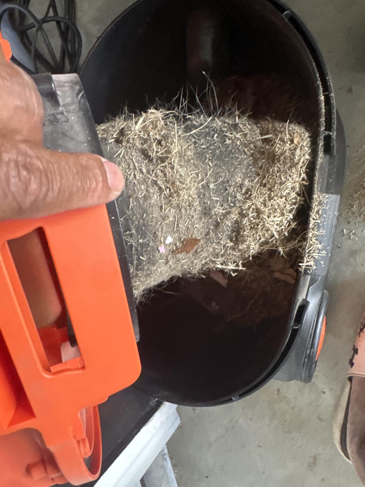 Armor All AA255W Wet/Dry Utility Vac 2.5 Gallon, 2.5-Gallon,120 Volts (AC), Orange/Black customer photo 2