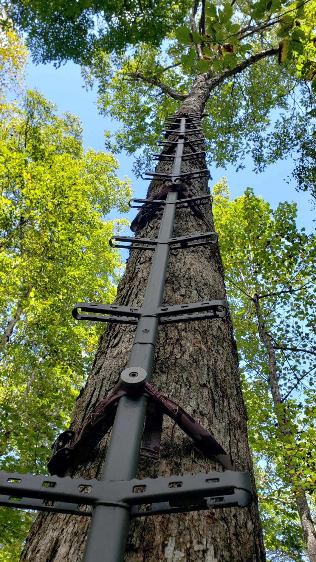 Hawk Traction Climbing Stick, 20 Foot Tree Climbing Hunting Gear with Double Traction Grip, Hunting Accessories for Tree Stands, Deer Stands, & Blinds customer photo 1