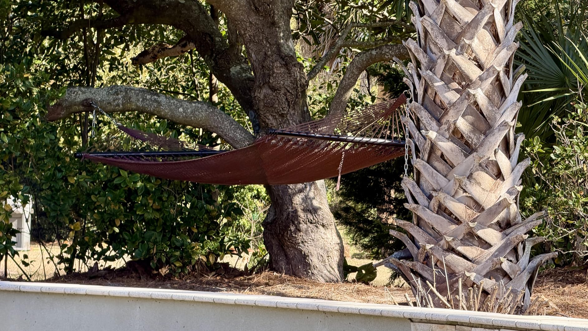 Sunnydaze Soft-Spun Polyester Rope Double Hammock for Outside - 600-Pound Weight Capacity Extra Large Hammock - Tan customer photo 1