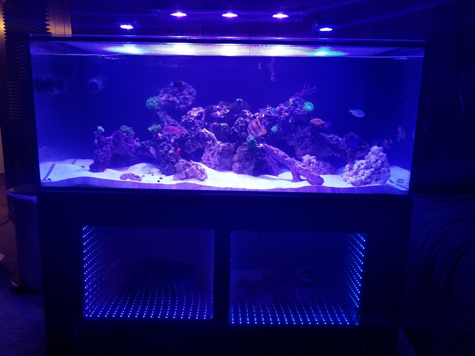 Innovative Marine 939022 Auqa Gadget Hydro Fill Ti ATO Controller System customer photo 1