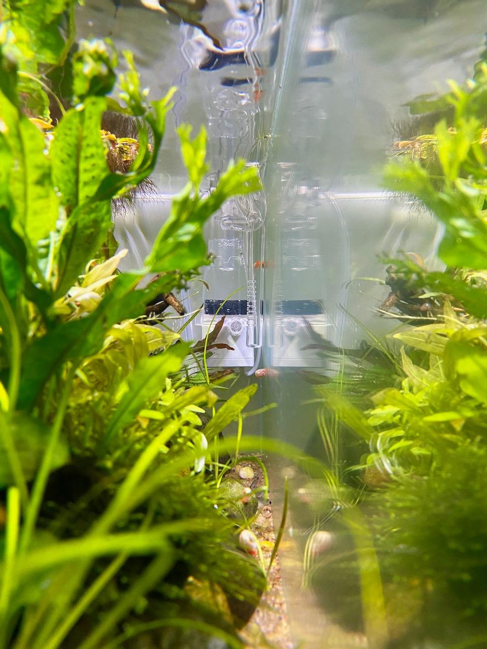AZOO AZ13123 Nano Surface Aquarium Skimmer customer photo 1