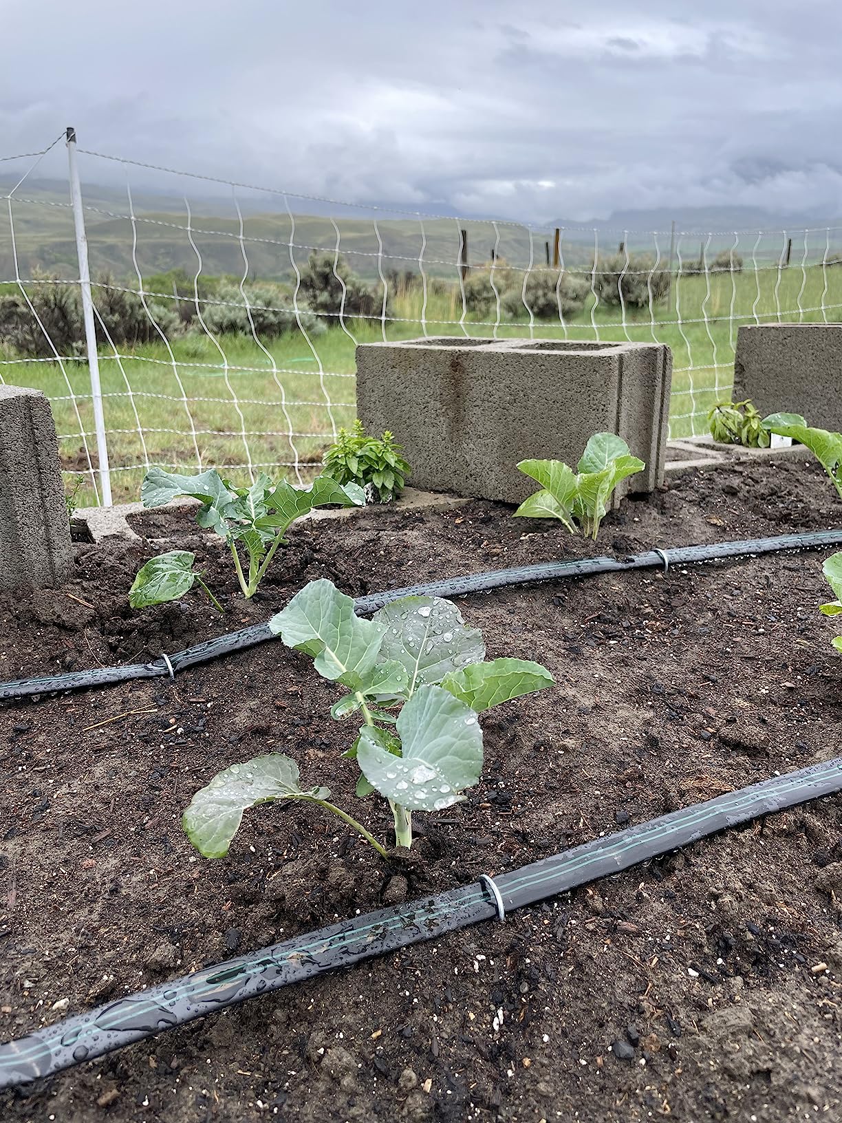 Drip Irrigation Kit for Small Farms - Kit Size : Deluxe customer photo 1