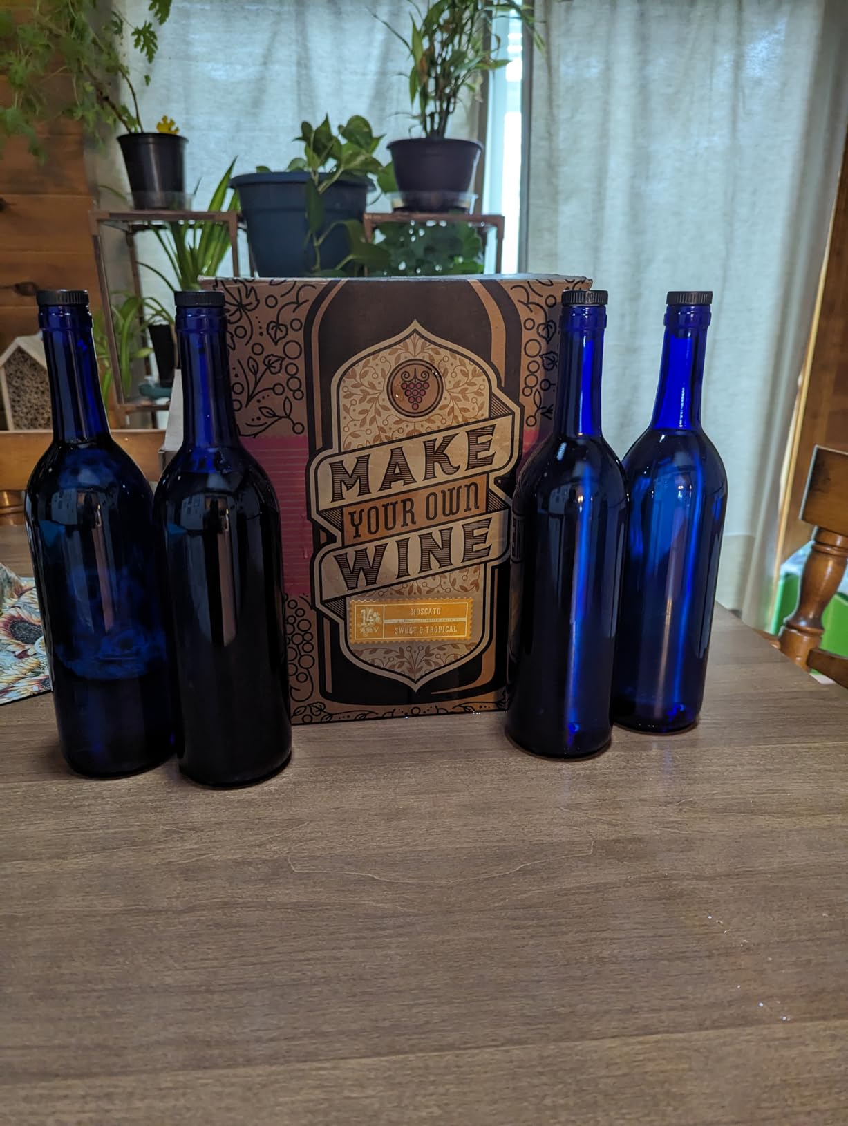 Craft A Brew Making Home Kit - Easy Brew Beginners with Ingredients and Supplies - Ultimate Wine Brewer Experience, 1 Gallon, Pinot Grigio customer photo 1