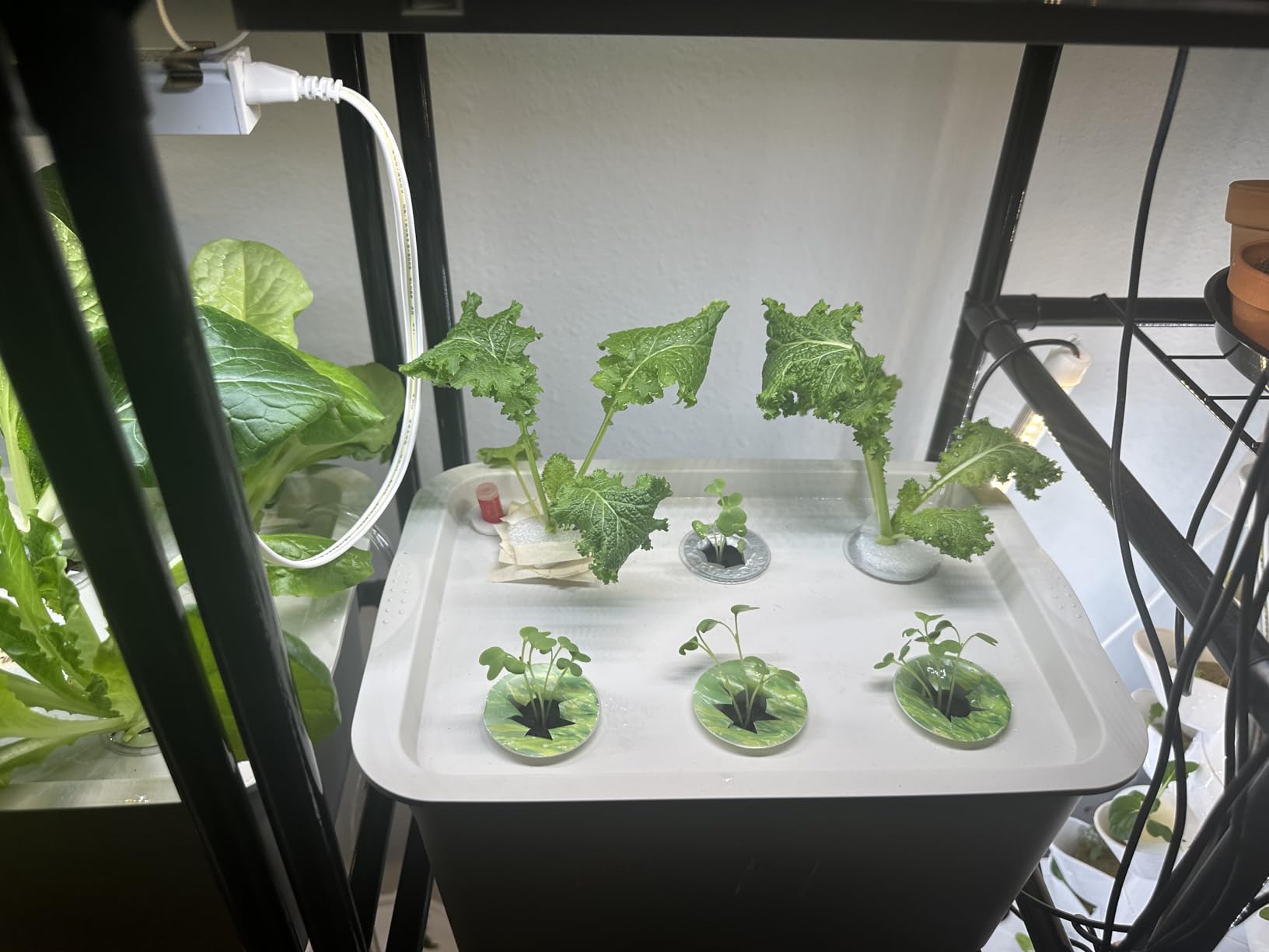Hydroponics Grower Kit DIY Self Watering Indoor Hydroponics Tools Hydroponic System Planting Container Include Aquarium Air Pump Buoy Planting Box customer photo 1