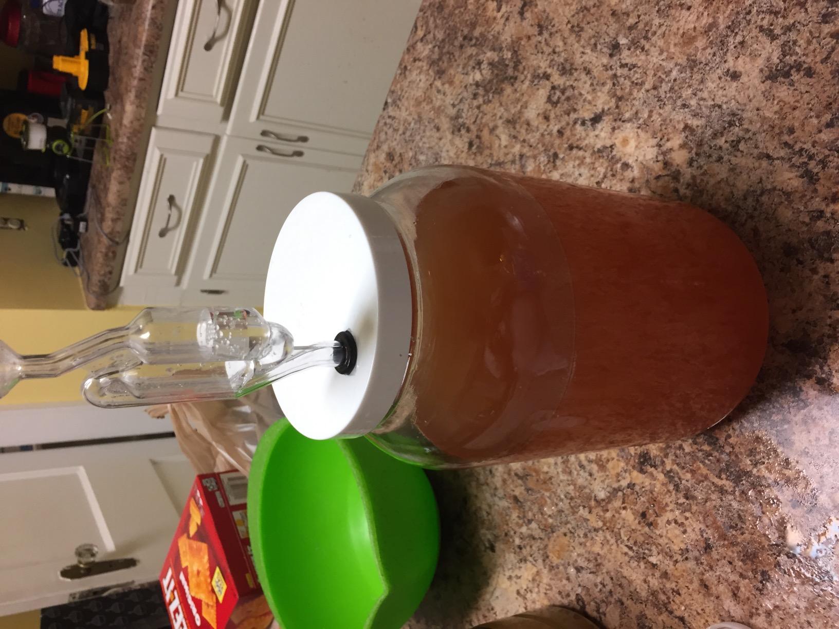FastRack 1 Gallon Mason Jar Wide Mouth & Twin Bubble Airlock (Pack of 2) customer photo 2