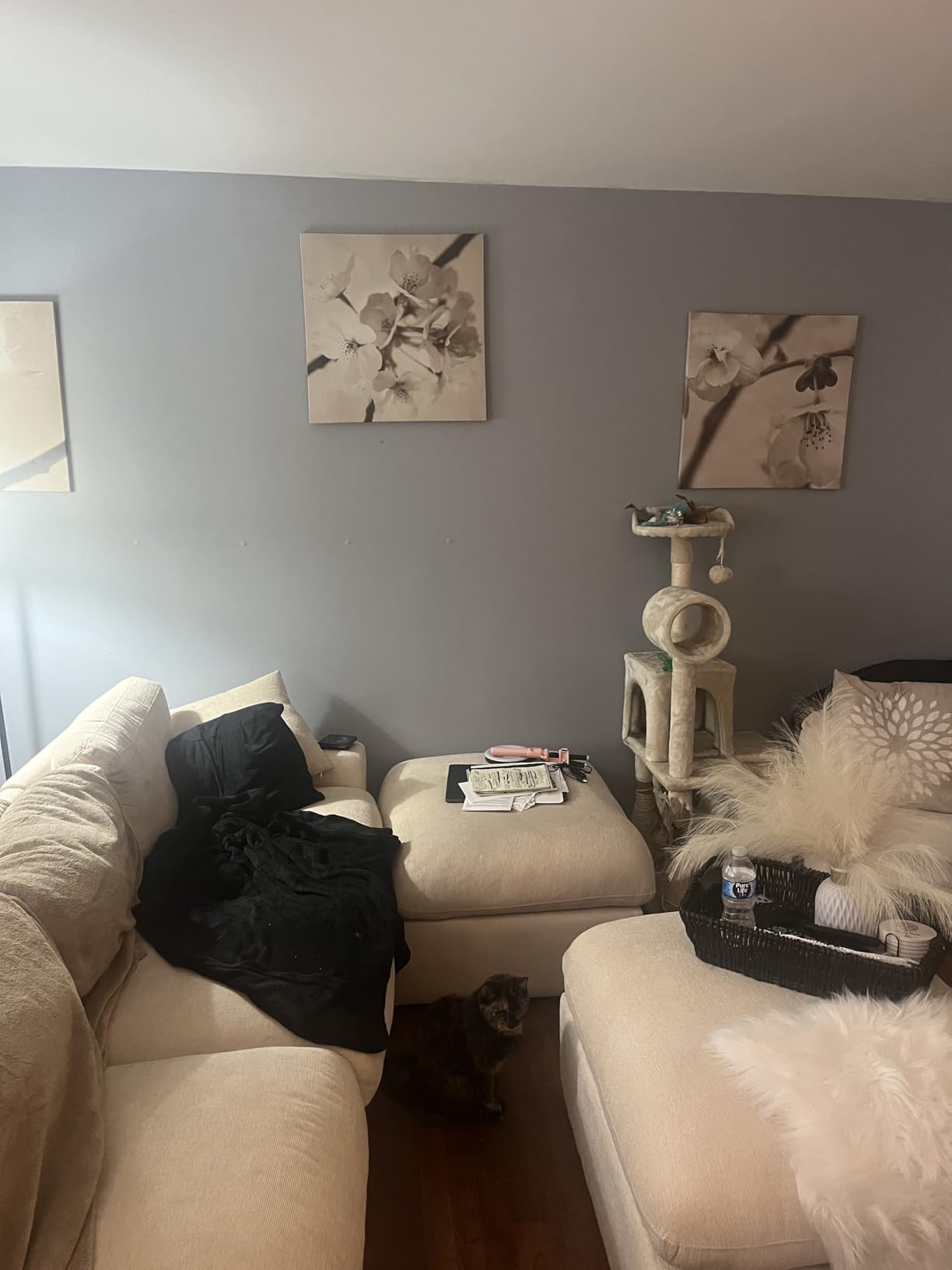 RECOLOR Eco-Friendly Interior Premium Latex Paint for Walls, Furniture and Rooms w/Eggshell Finish, 1 Gallon, Canvas customer photo 2