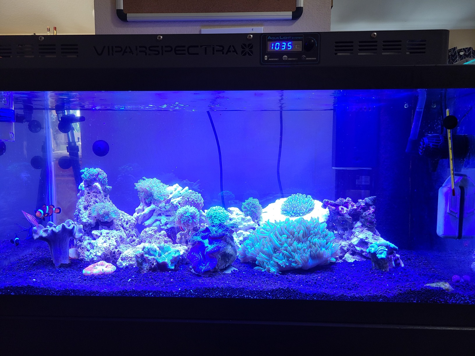 Sumpless ATO Complete Aquarium Auto-Top-Off System for Sumpless Aquariums customer photo 2