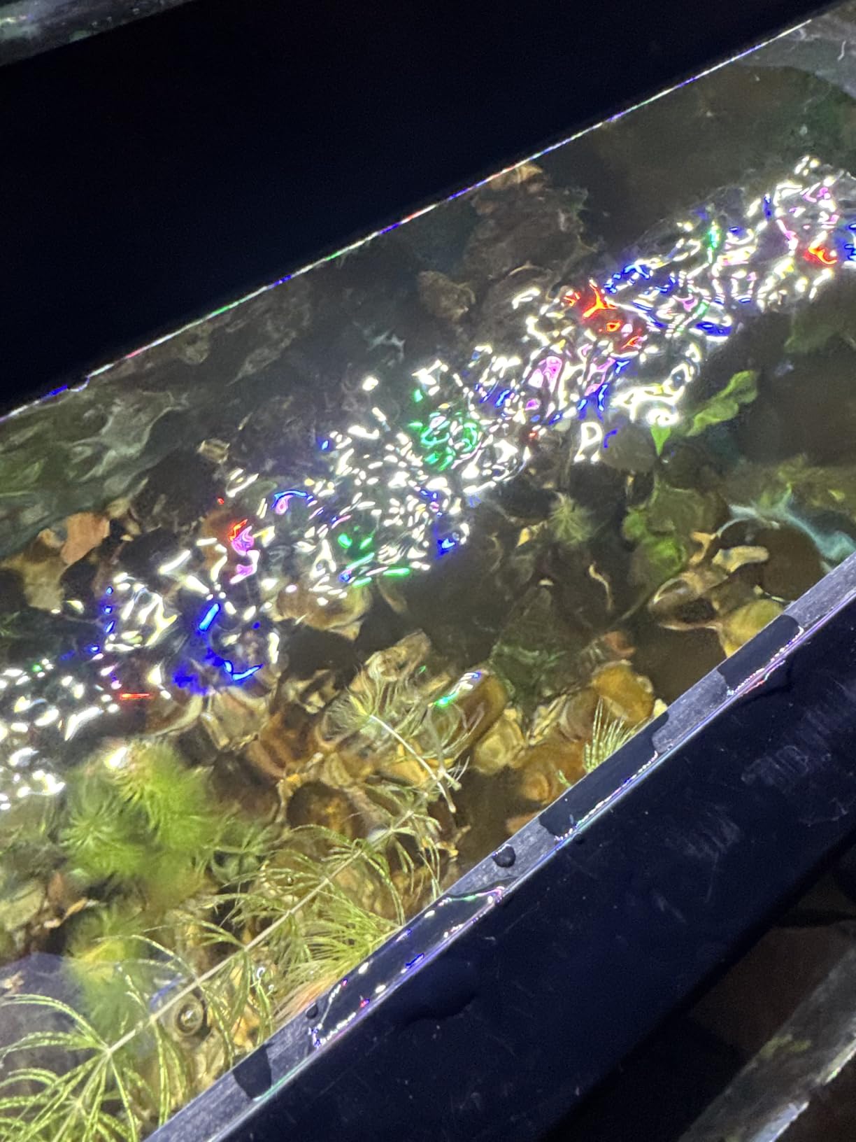 Marine Color Aquarium Surface Protein Skimmer 5W JY03 Aquarium Oil Film Processor customer photo 1
