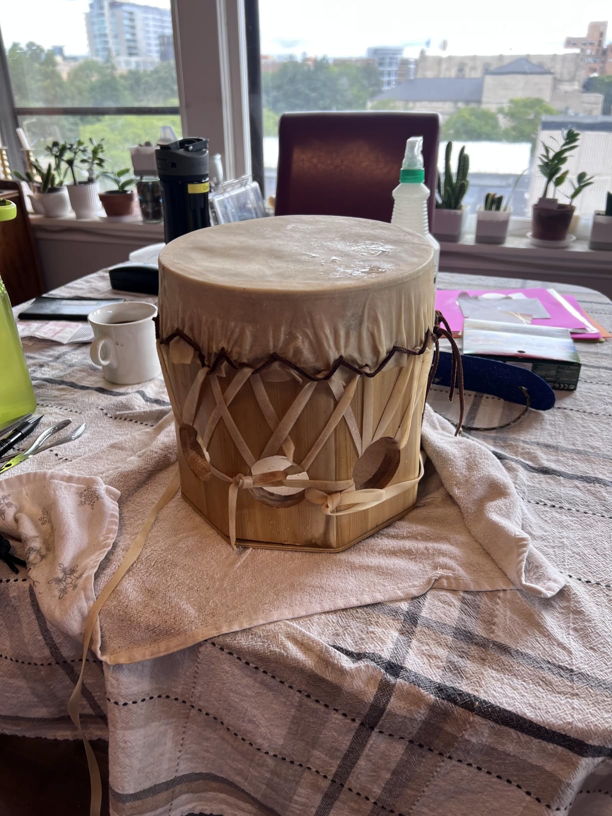 Goat Skin Djembe Head | Goatskin for Drum Doumbek | Natural Flat Round Piece GOAT SKIN Head untanned by AnNafi (16 inches) customer photo 1