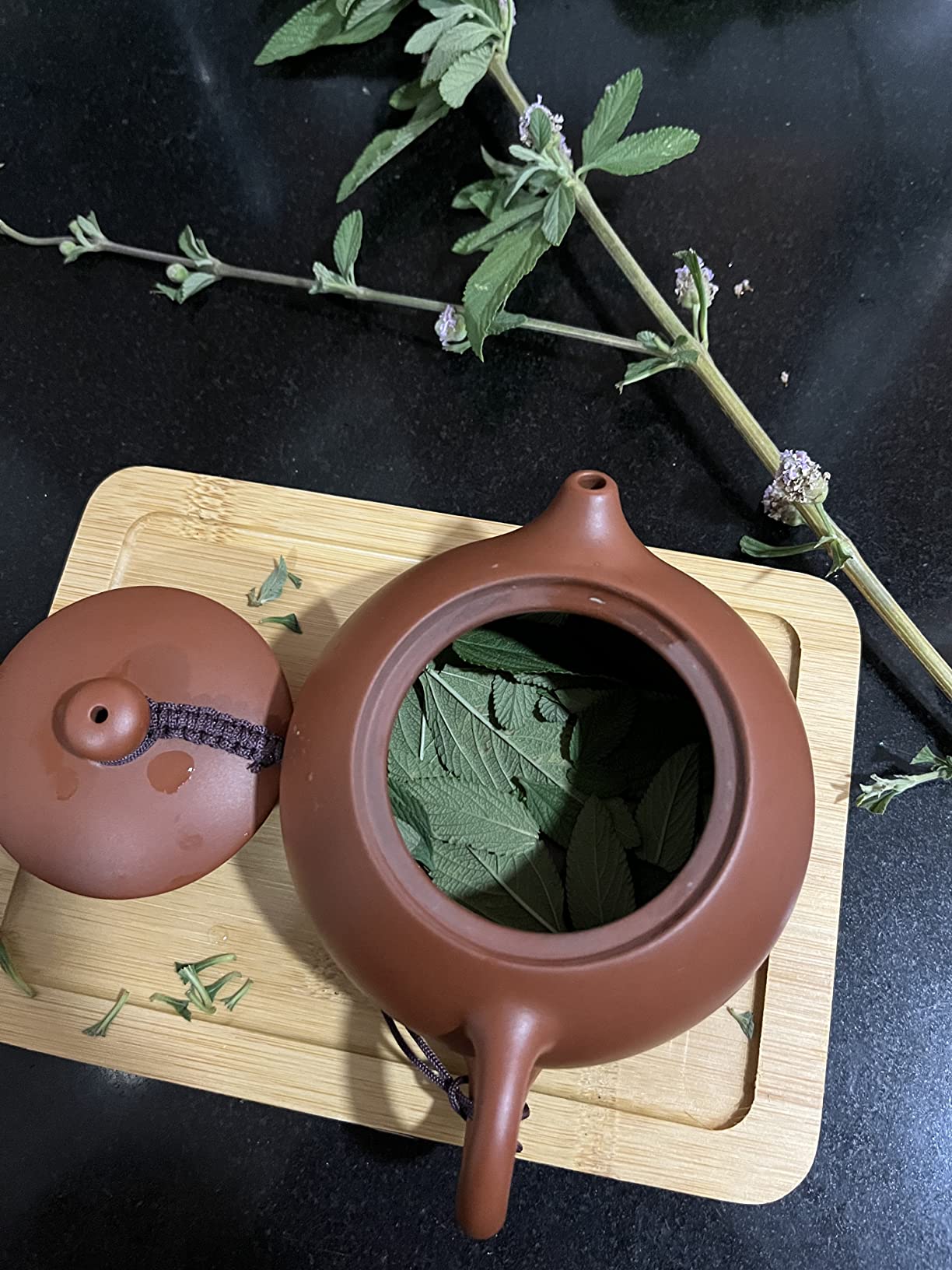 Queena Portable Yixing Zisha Tea Set Handmade Purple Clay Teapot Teacups Traditional Chinese Style Xishi Teapot with Travel Bag Gift for Spring Festival New Year customer photo 1