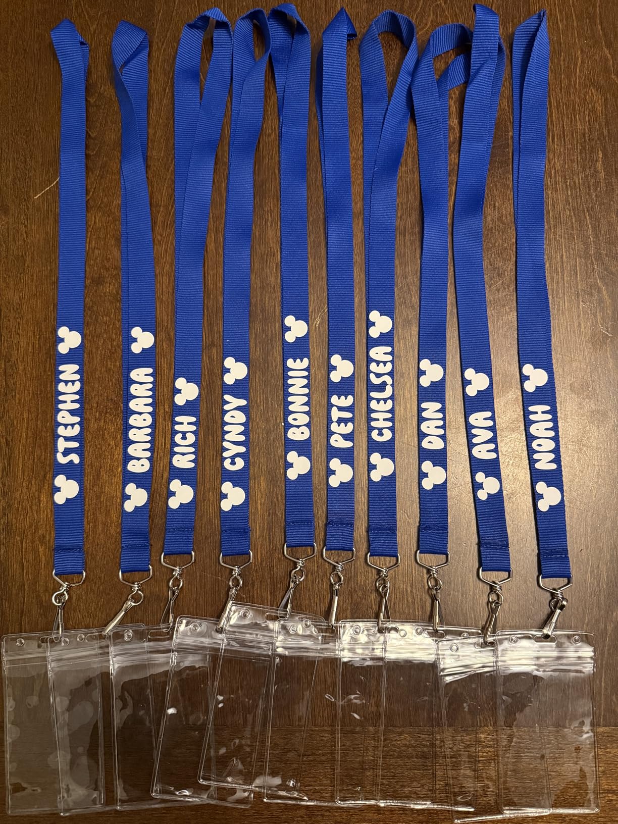 12 Pack Cruise Lanyard with Waterproof ID Card Holder, Colorful Solid Color Durable Lanyard with Badge ID Holder for Badge Card and Carnival Sail customer photo 2